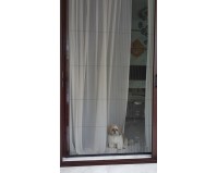 Monarch Low Profile  Screen